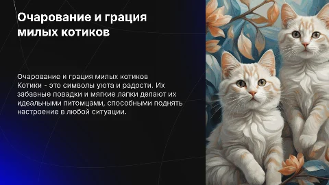 милые котики