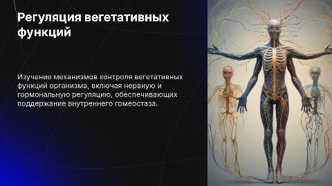 Регуляция вегетативных функций организма