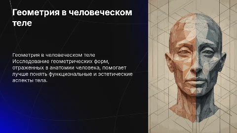 геометрия в анатомии