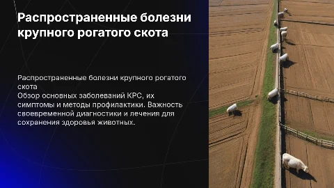 Заболевания крс