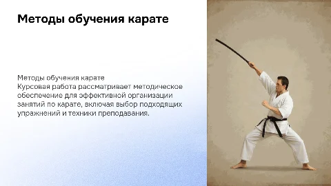 Методическое обеспечение занятий по карате: презентация