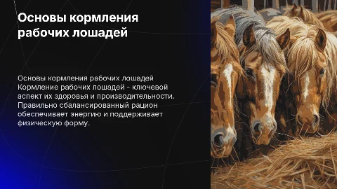 кормление рабочих лошадей
