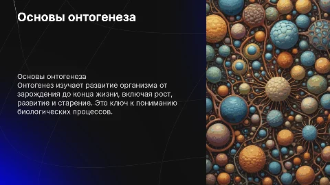 понятие об онтогенезе