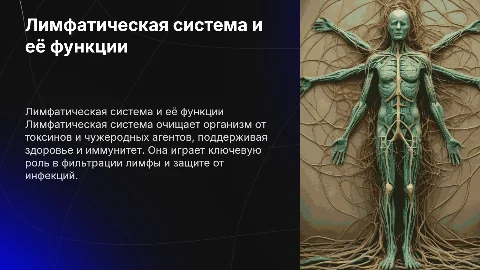 Лимфатическая система: очищение организма и защита от инфекций