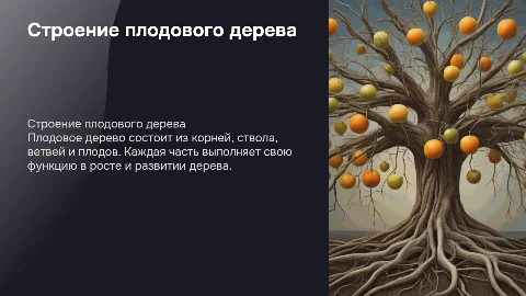 строение плодового дерева
