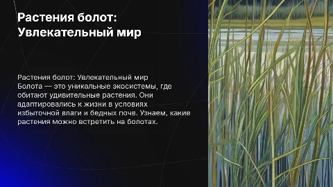 Интерактивная презентация о растениях болот для школьников