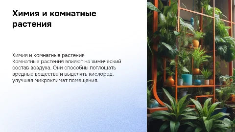 Химия в комнатных растений