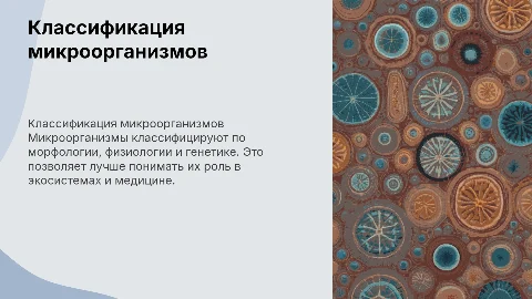 классификация микроорганизмы