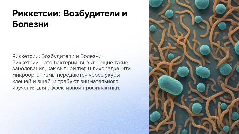 Риккетсии