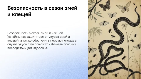 Безопасность на улице в сезон змей и клещей: первая помощь