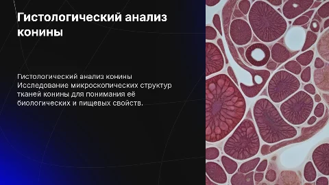 Гистологический анализ конины