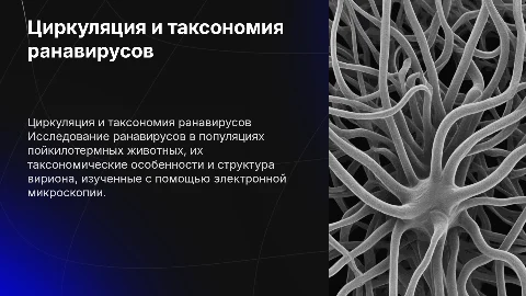 Циркуляция вирусов в популяции пойкилотермных животных