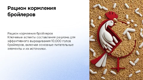 Рацион для кормления птиц бройлеров: эффективные решения