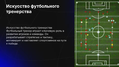 Футбольный тренер