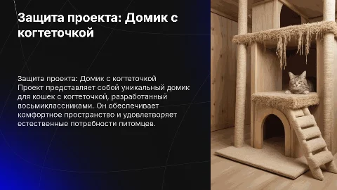 защита проекта для школы домик с когтеточкой 8 класс