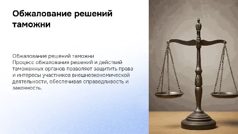 Обжалование решений таможни: защита прав участников ВЭД