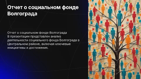 Отчет о социальном фонде Волгограда в Центральном районе