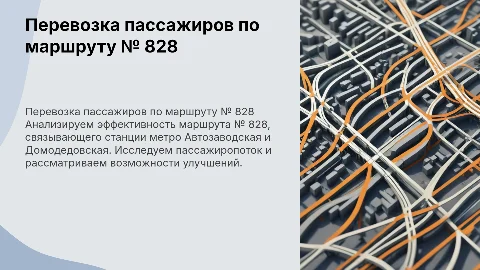 Эффективность перевозки пассажиров по маршруту № 828