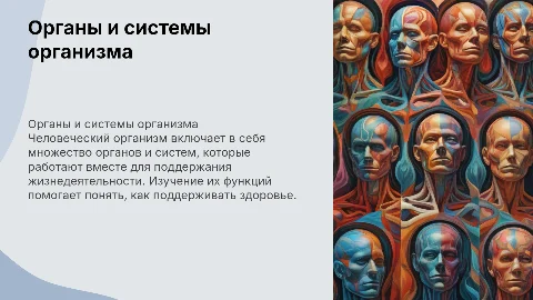 органы и система организма человека