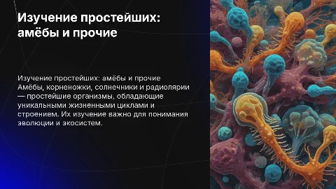 Изучение амёбы и простейших: жизненные циклы и строение