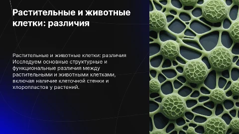 Структурное и функциональное различие растительной и животной клетки