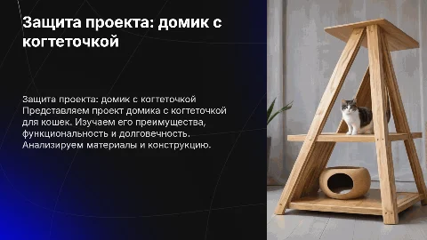 защита проекта домик с когтеточкой 8 класс