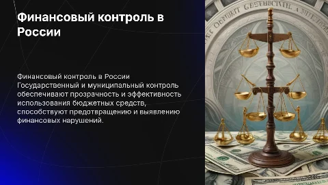 Государственный и муниципальный финансовый контроль в РФ