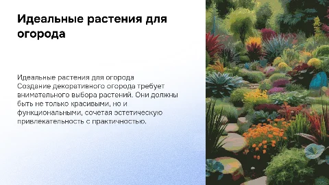 Подбор растений для декоративного огорода