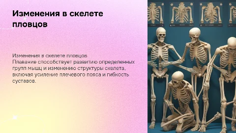 Изменения в скелете и связочном аппарате у пловцов
