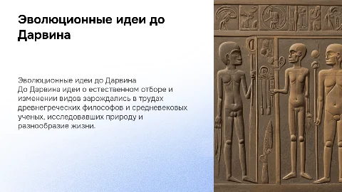 история развития эволюционных идей до ч.дарвина