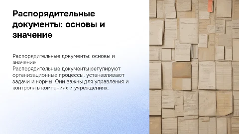 распорядительные документы