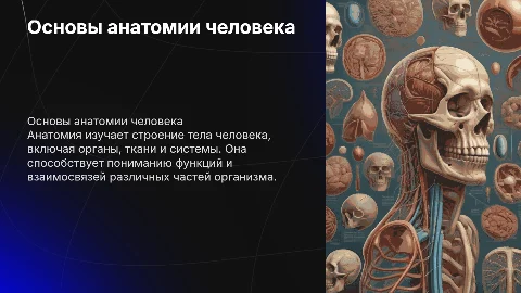 анатомия