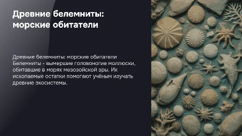 Белемниты