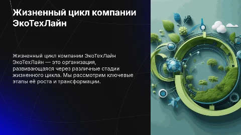 Жизненный цикл организации ЭкоТехЛайн
