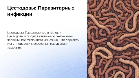 Цестодозы у людей
