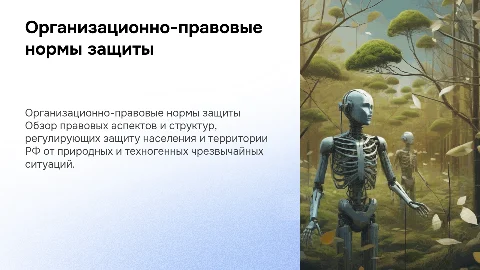 Организационно-правовые нормы защиты населения от ЧС