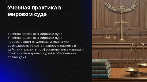 Учебная практика в мировом суде
