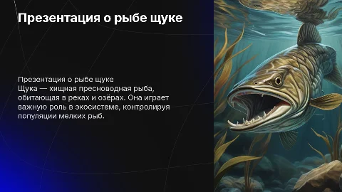 Презентация о рыбе щуки