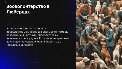 Зооволонтерство в городе Люберцы