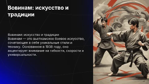 вовинам,особенности, экипировка, стили, дата основания