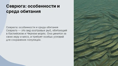 Севрюга