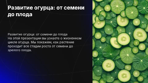 Биология 6 класс: Развитие огурца от семени до плода