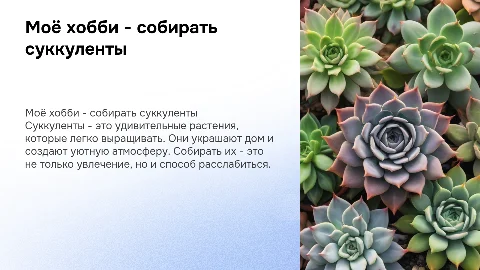 моё хобби - собирать суккуленты