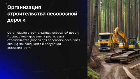 Организация строительства лесовозной дороги