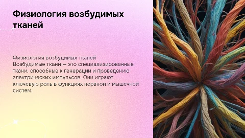 Возбудимые ткани физиология