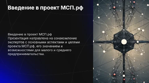 Знакомство экспертов 1-ого потока с проектом МСП.рф