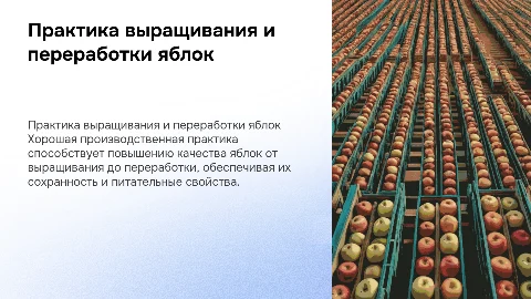 Хорошая производственная практика при выращивании яблони