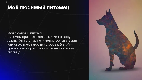 Мой любимый питомец
