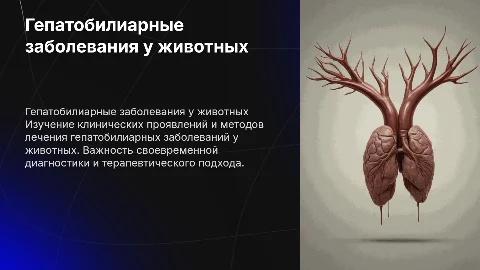 Клиническое проявление и терапевтическое сопровождение животных