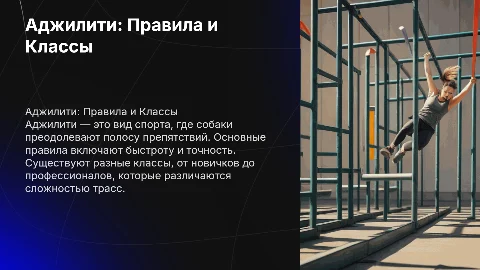 Тема: Аджилити. Основные правила и какие есть классы